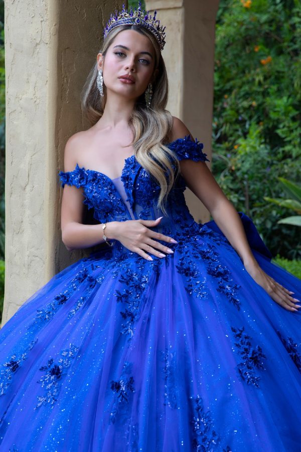Quinceniera Dresses Long Glitter Applique Quinceanera Dress Royal Blue