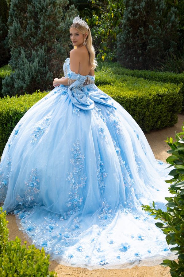 Quinceniera Dresses Long Ball Gown 3D Floral Applique Quinceanera Dress Blue