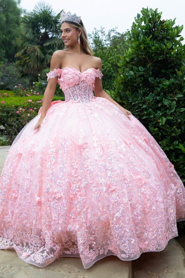 Quinceniera Dresses  Long 3D Floral Applique Corset Quinceanera Dress Blush