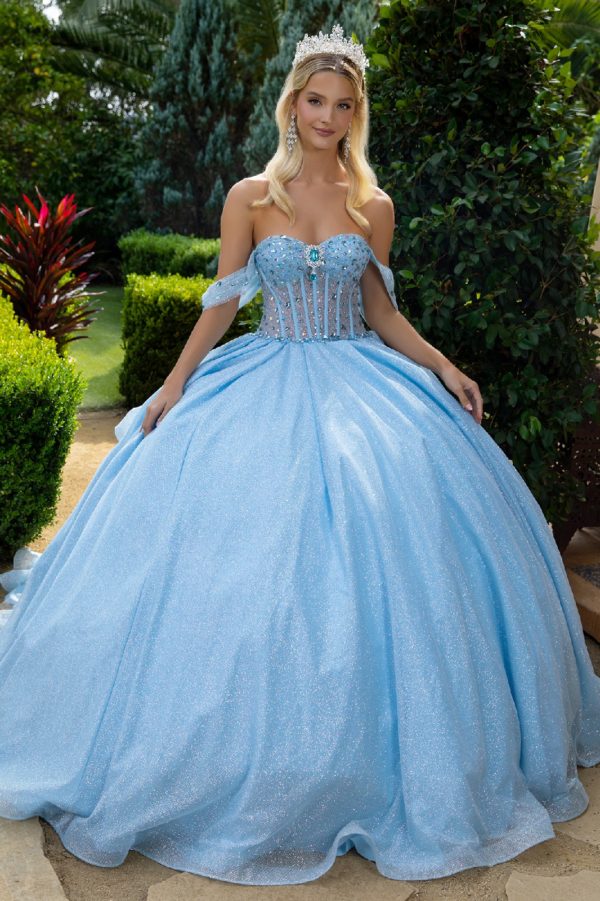 Quinceniera Dresses Long Ball Gown Overskirt Quinceanera Dress Blue