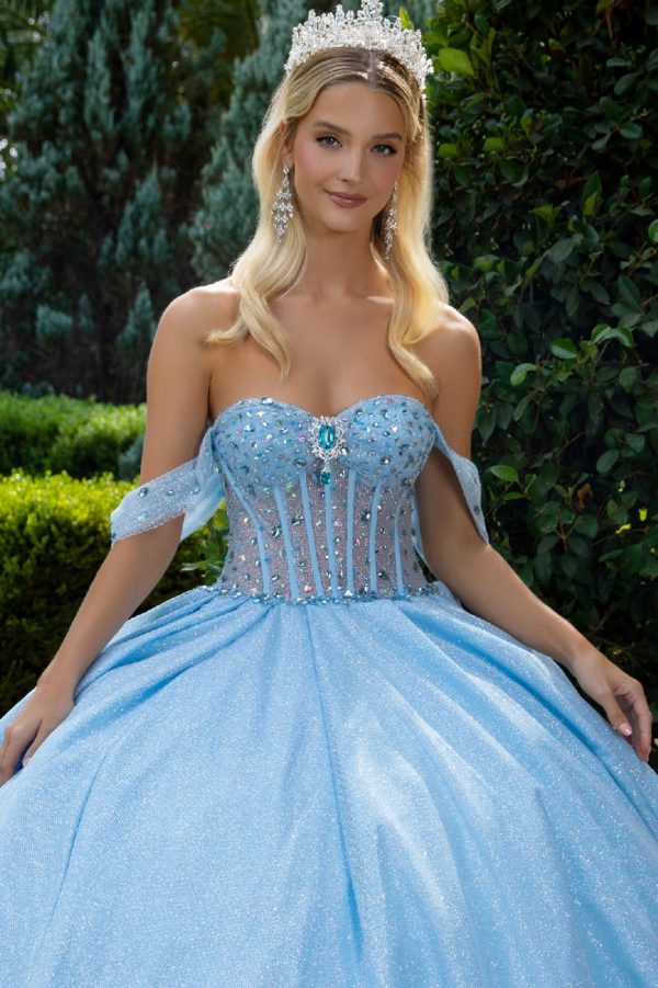 Quinceniera Dresses Long Ball Gown Overskirt Quinceanera Dress Blue