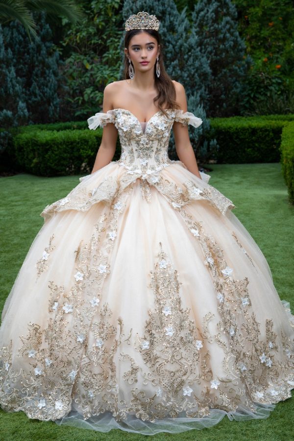 Quinceniera Dresses Long 3D Floral Applique Quinceanera Dress Champagne
