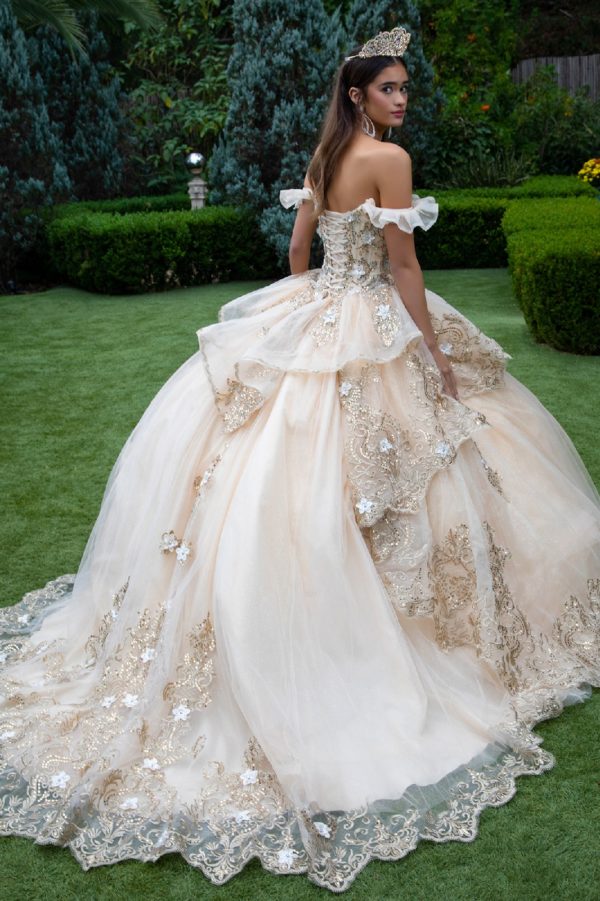 Quinceniera Dresses Long 3D Floral Applique Quinceanera Dress Champagne