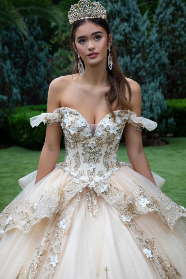 Quinceniera Dresses Long 3D Floral Applique Quinceanera Dress Champagne