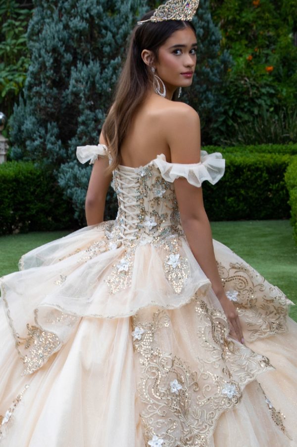 Quinceniera Dresses Long 3D Floral Applique Quinceanera Dress Champagne