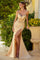 Prom Dresses Long Formal Mermaid Fit Prom Dress Champagne