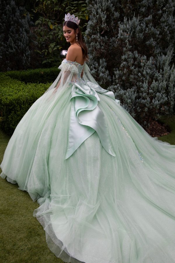 Quinceniera Dresses Sweet 16 Glitter Long Ball Gown Quinceanera Dress Sage