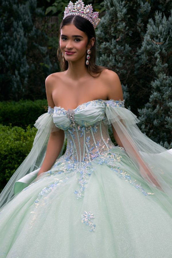 Quinceniera Dresses Sweet 16 Glitter Long Ball Gown Quinceanera Dress Sage