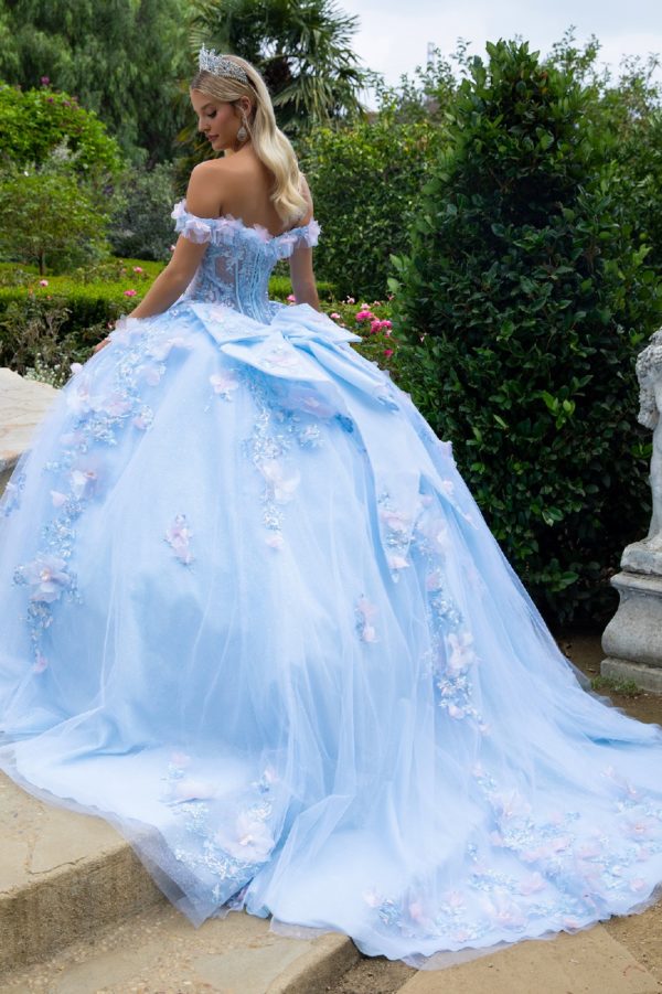 Quinceniera Dresses Sweet 16 3D Floral Applique Long Quinceanera Dress Light Blue