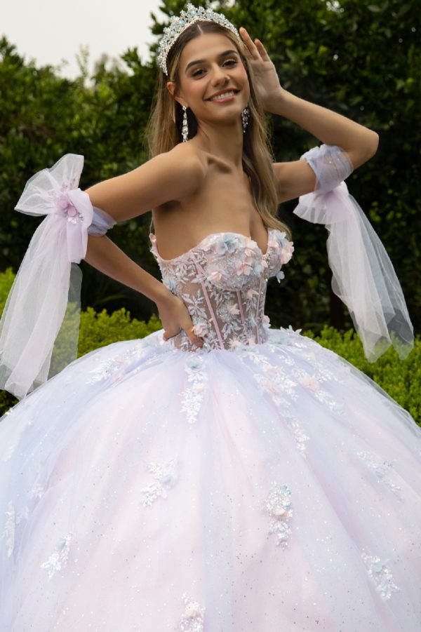 Quinceniera Dresses Long 3D Ball Gown Glitter Quinceanera Dress Blue/Pink