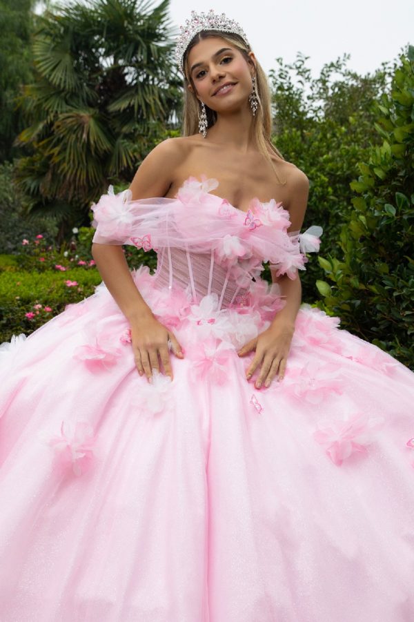 Quinceniera Dresses Long Ball Gown Glitter 3D Floral Applique Quinceanera Dress Pink