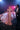Formal Dresses Long Sleeve Formal Overskirt Evening Dress Misty Rose