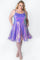 Homecoming Short Plus Size Dress Polar Purple
