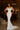 Wedding Dresses Long Pearl Sequin Wedding Dress White/Ivory