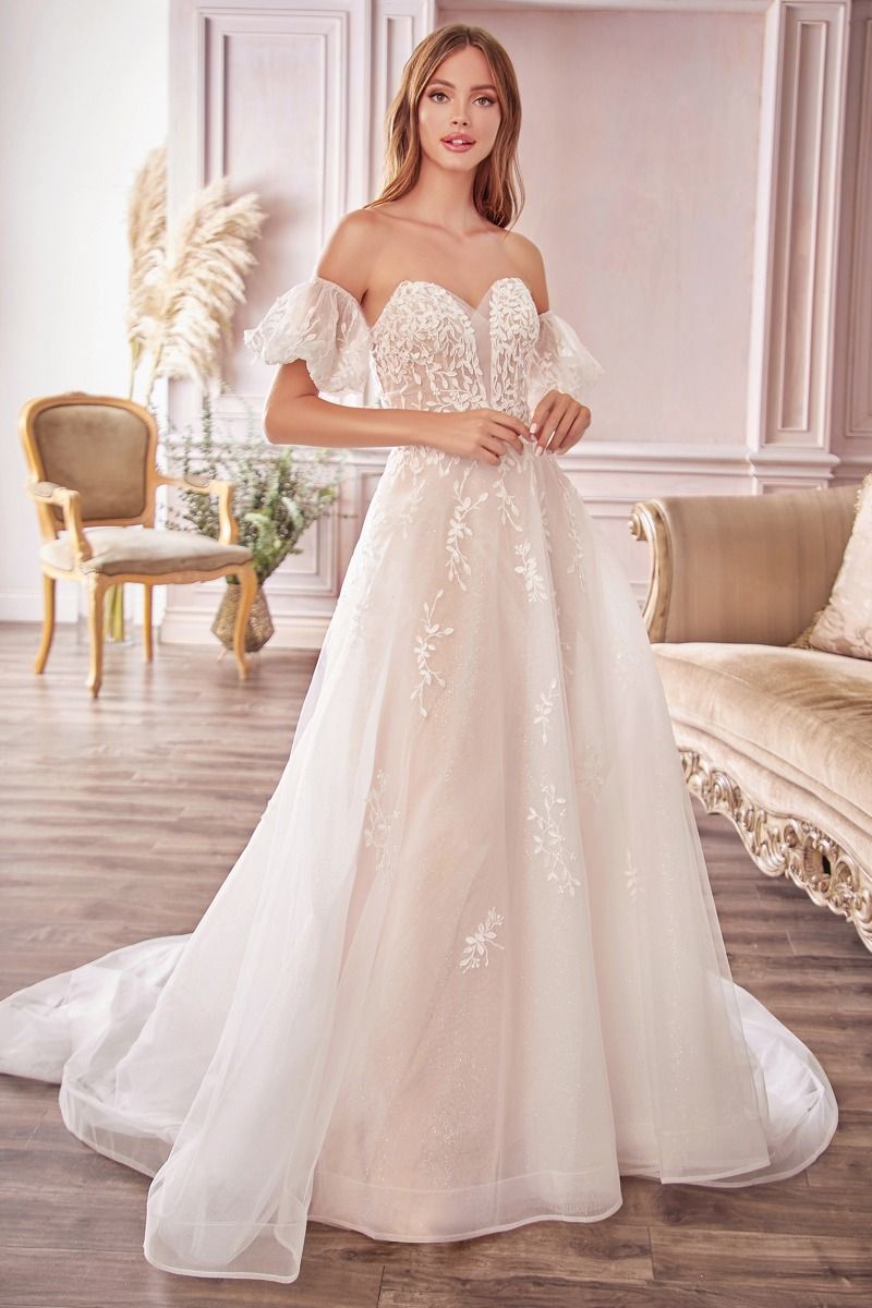 Wedding Dresses A Line Long Bridal Gown Detachable Sleeves Wedding Dress Off White Nude