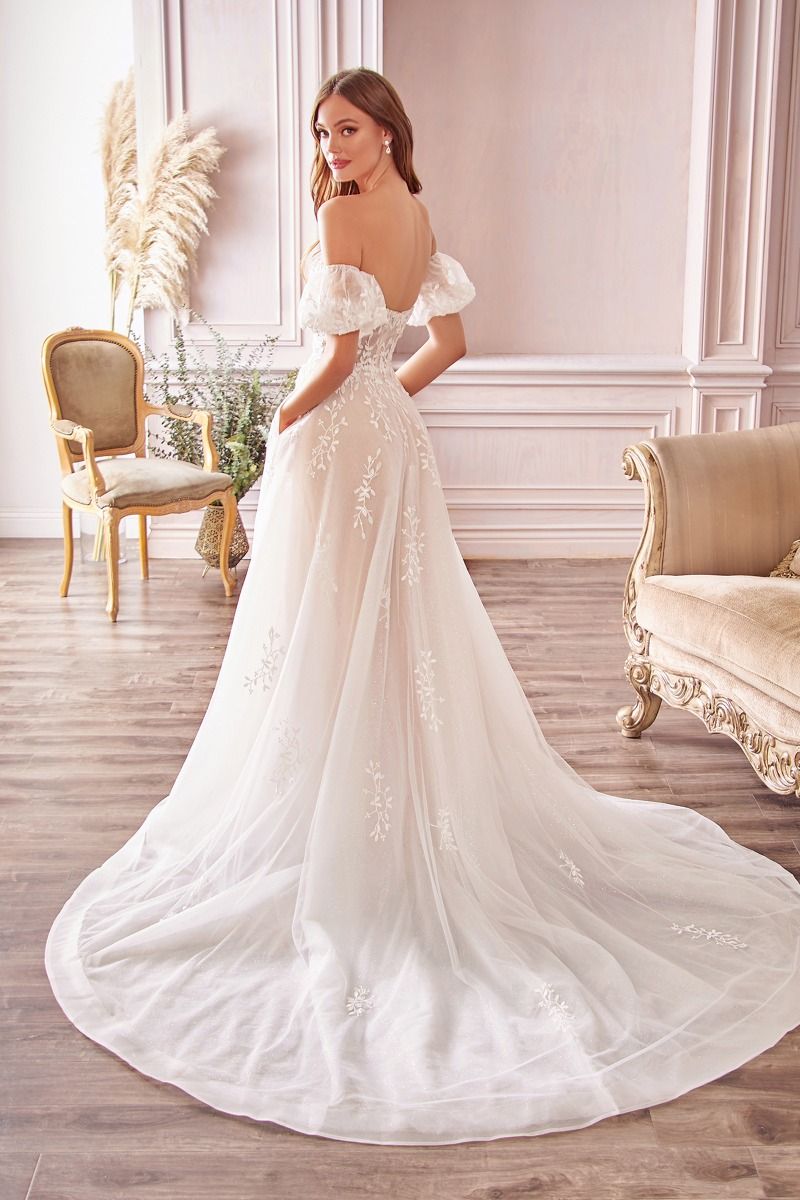 Wedding Dresses A Line Long Bridal Gown Detachable Sleeves Wedding Dress Off White Nude