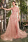 Prom Dresses Long Formal Fitted Gliiter Overskirt Prom Dress Blush