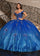 Quinceniera Dresses Long Glitter Sweet 16 Floral Quinceanera Dress Royal