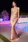 Prom Dresses Fitted Long Evening Gown Rose Gold