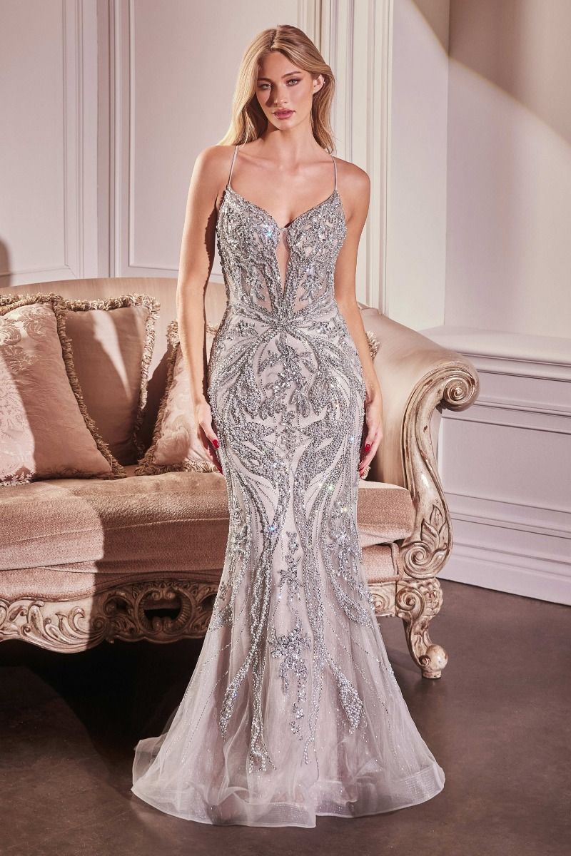 Prom Dresses Mermaid Long Formal Prom Beaded Lace Dress Silver Nude