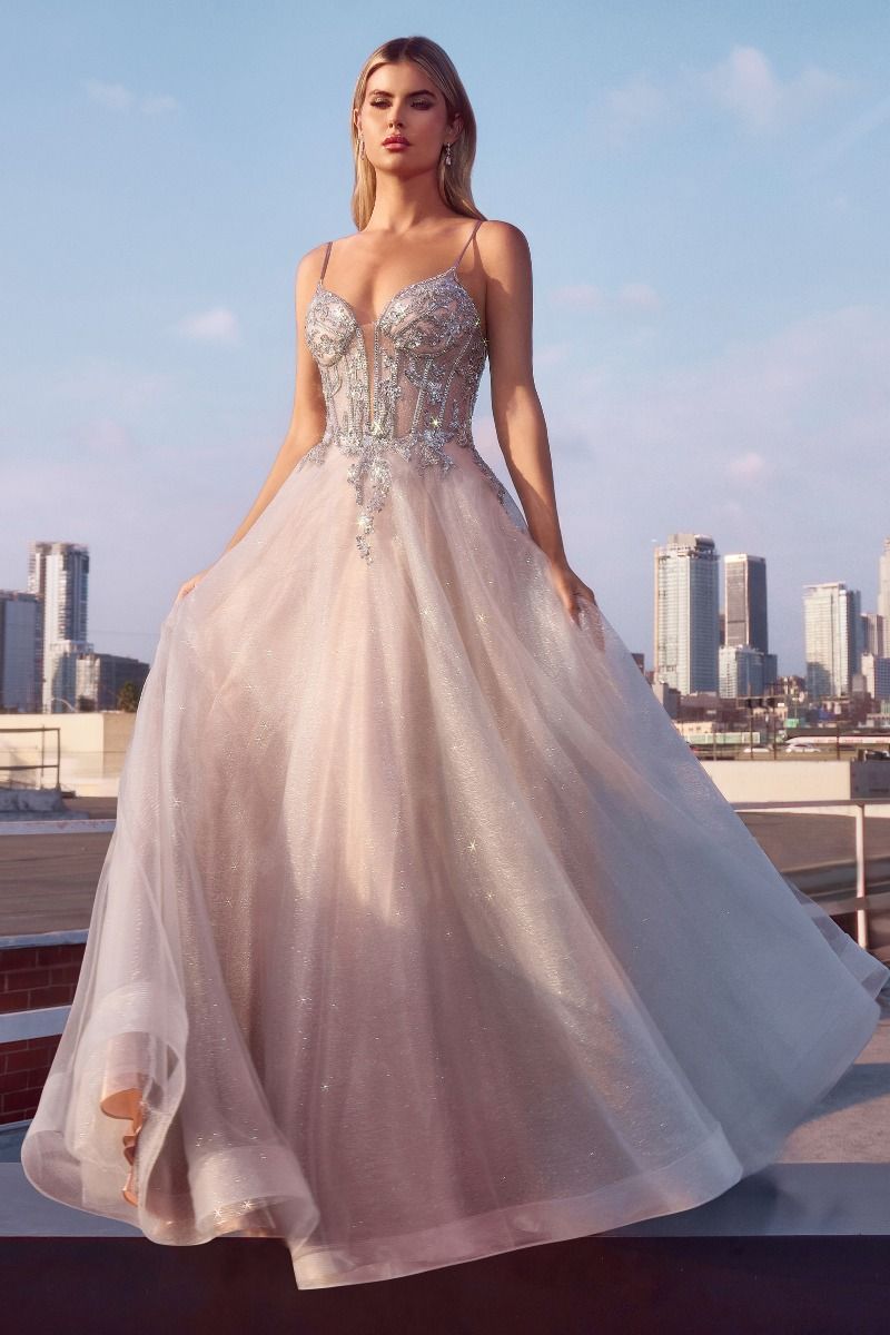Prom Dresses Long Formal Glitter A Line Prom Dress Silver Nude