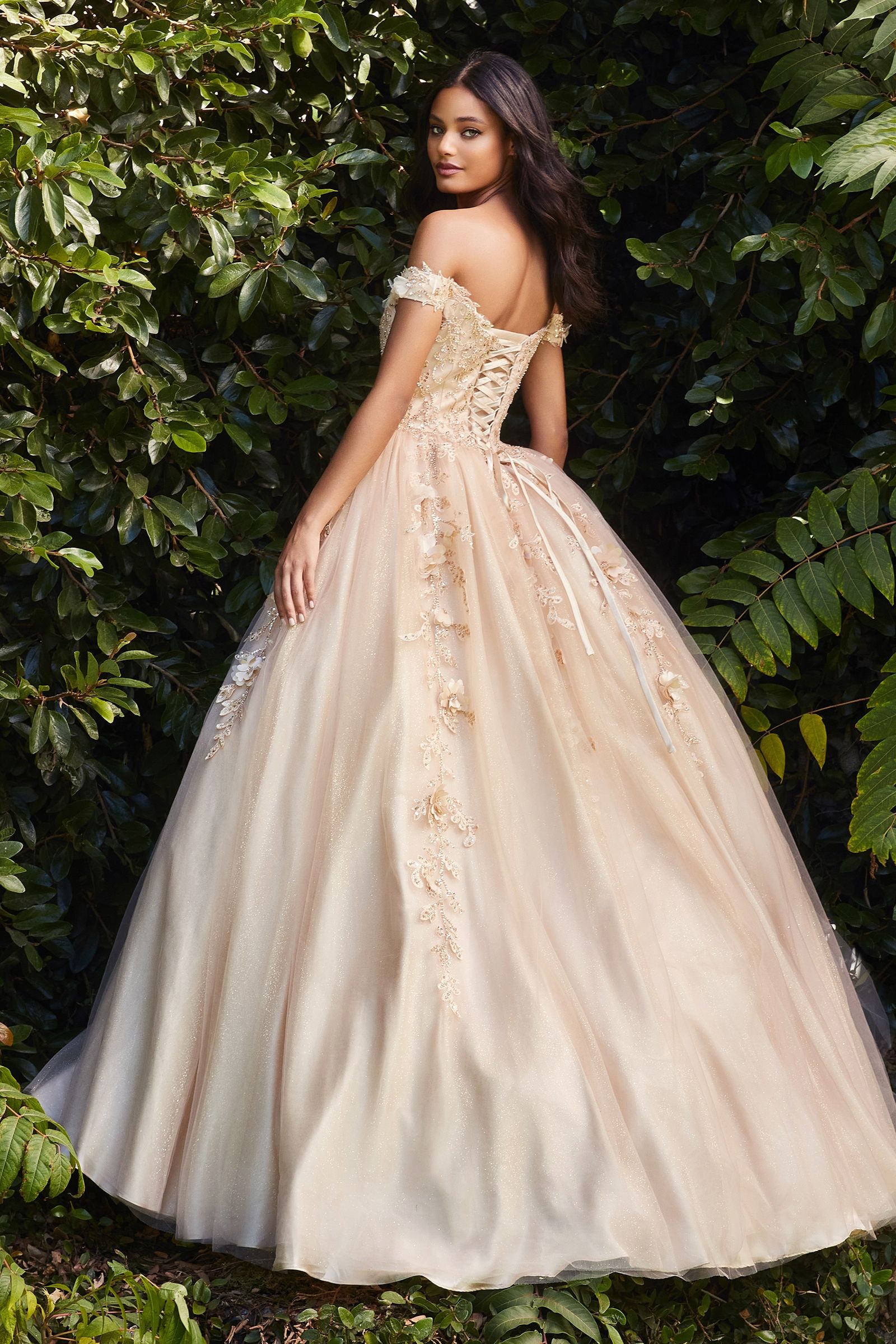 LaDivine CD0185 Embellished Long Quinceanera  Gown