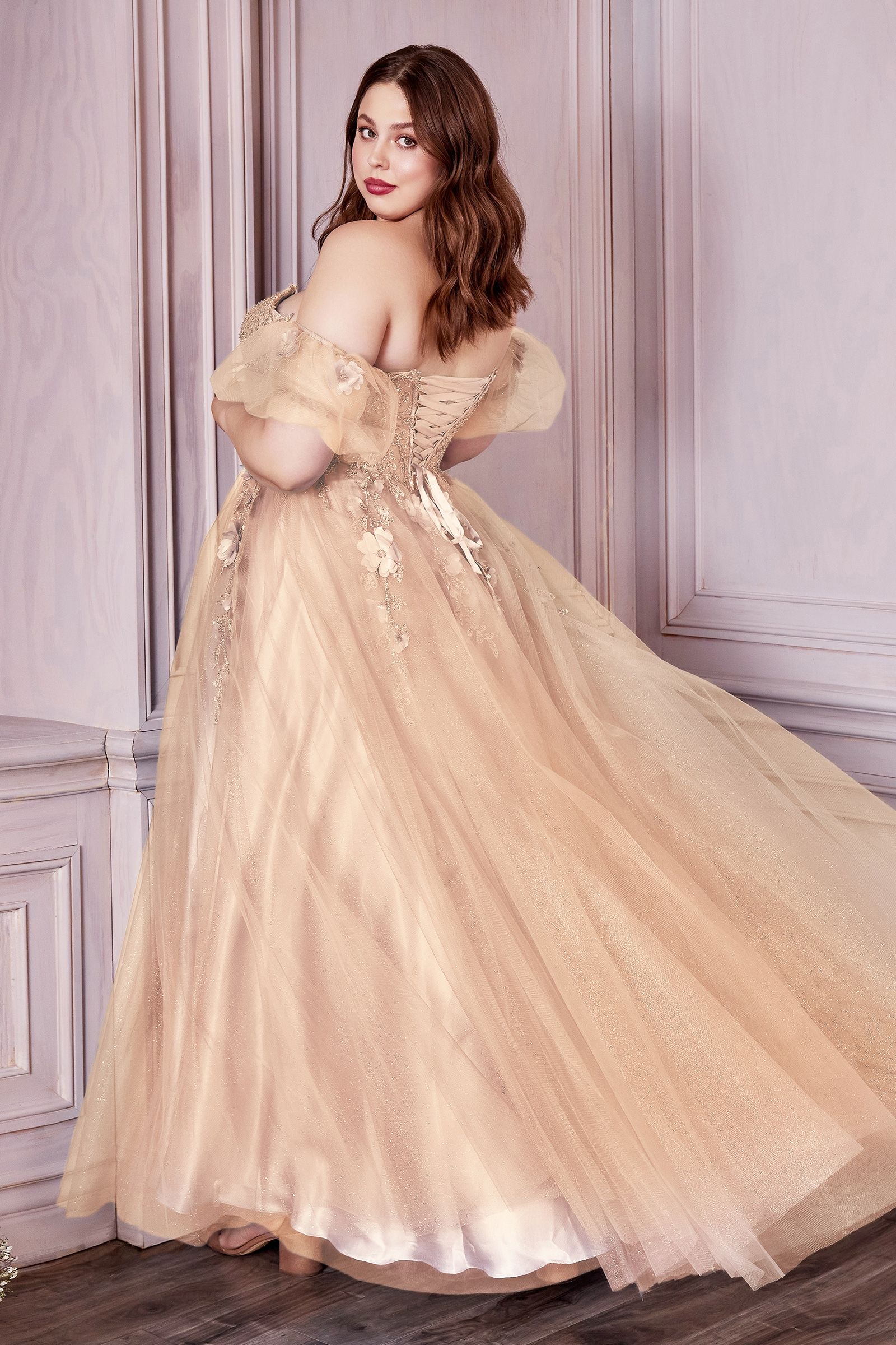 Plus Size Dresses Champagne 2XL Sale Champagne