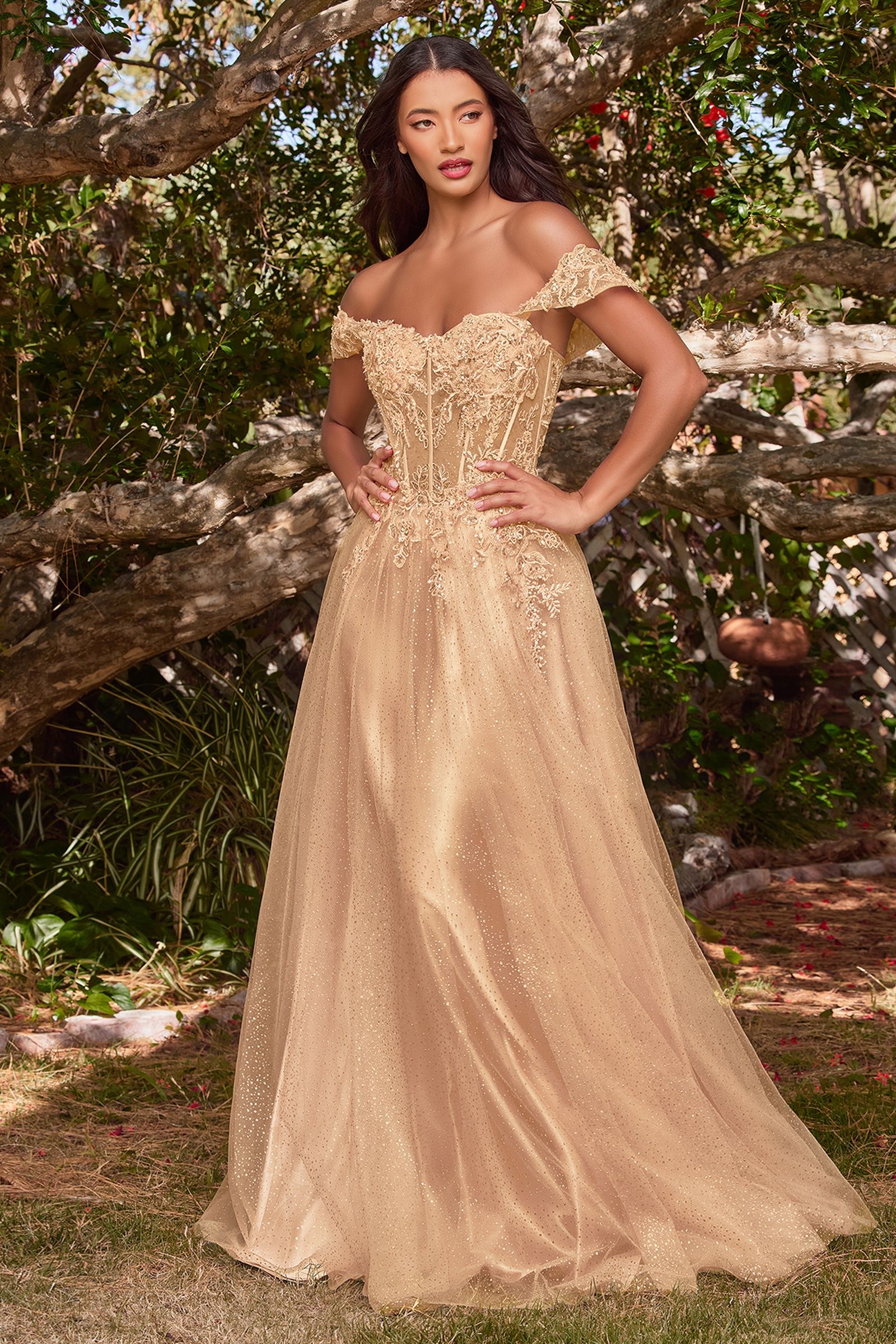 LaDivine CD0198 Off Shoulder Corset Long Prom Ball Gown