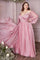 Plus Size Dresses Petal Blush 18 Sale Petal Blush