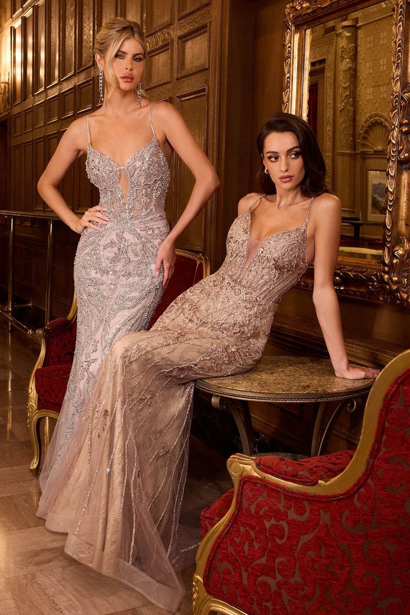 Prom Dresses Mermaid Long Formal Prom Beaded Lace Dress Silver Nude