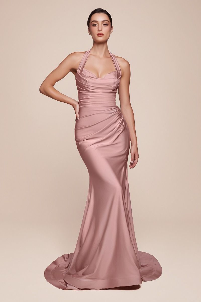Prom Dresses Fitted Long Formal Prom Dress Dusty Rose