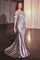 Prom Dresses Long Formal Fitted Applique Prom Gown Silver
