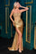 Prom Dresses Fitted Slit Long Formal Prom Dress Gold