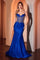Prom Dresses Prom Long Beaded Formal Fitted Dress Royal