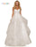 Colors Prom Long Formal Glitter Mesh Ball Gown 2381 - The Dress Outlet