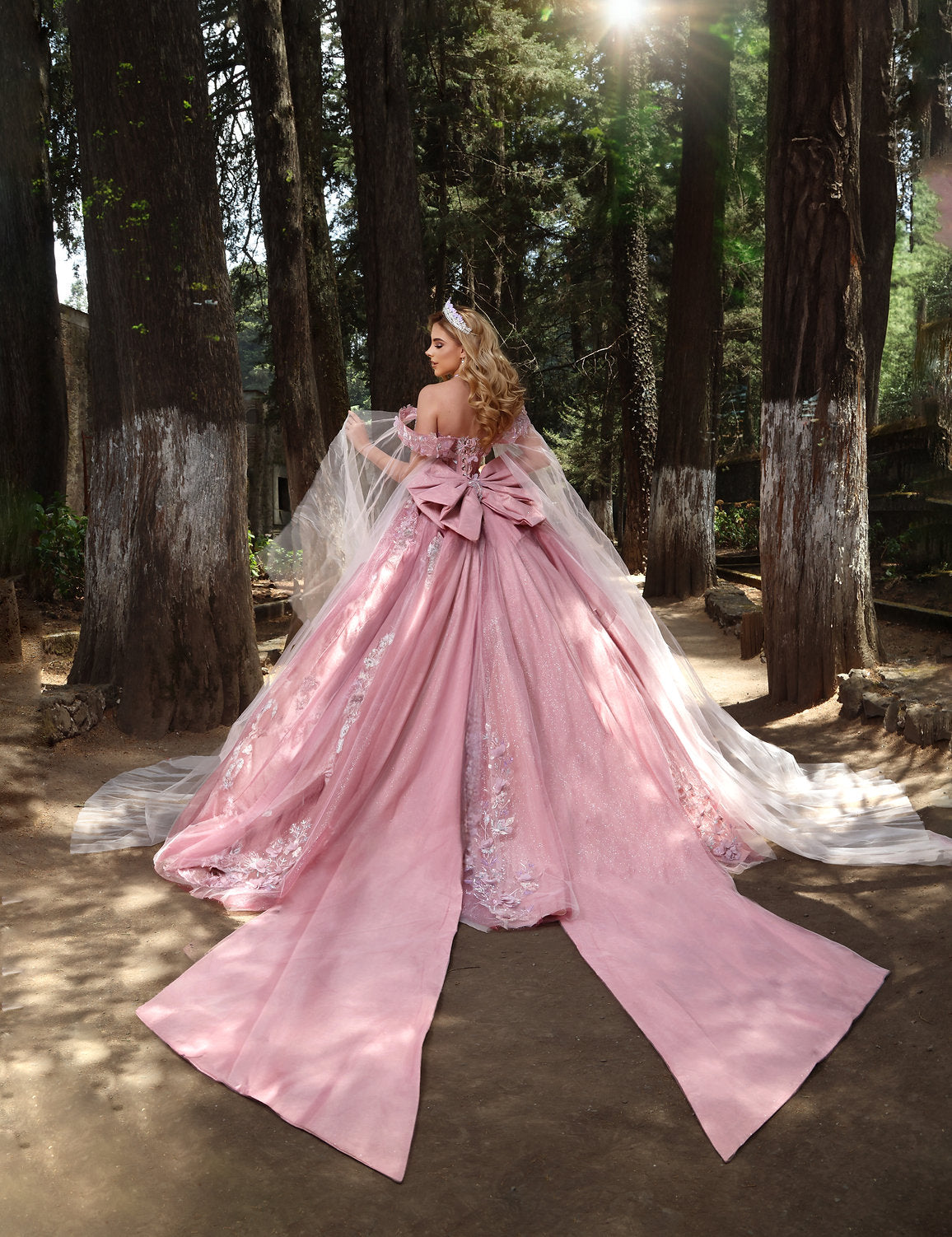 Quinceniera Dresses Sweet 16 Long 3D Glitter Quinceanera Dress Blush/Burgundy