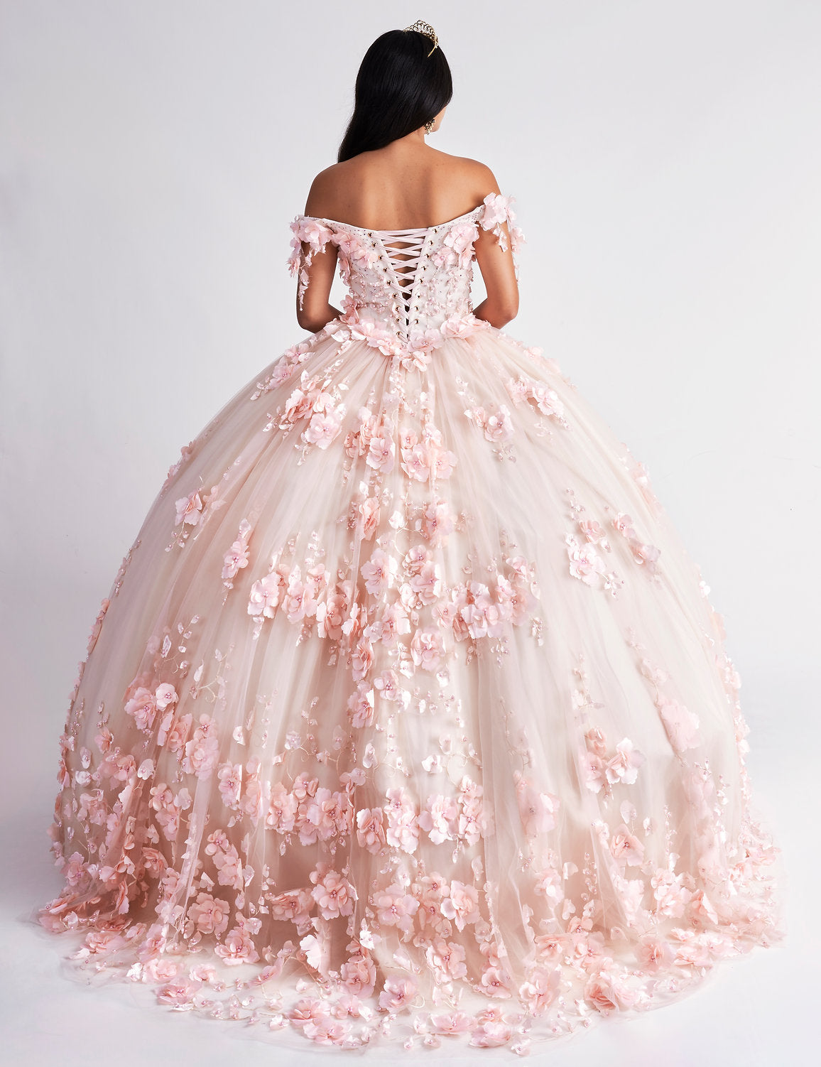 Quinceniera Dresses Sweet 16 Long Ball Gown Quinceanera Dress Blush/Champagne