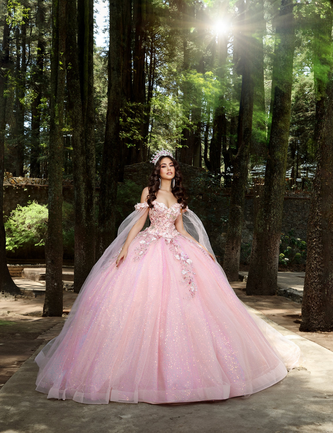 Quinceniera Dresses Long Ball Gown Sweet 16 Quinceanera Dress Blush