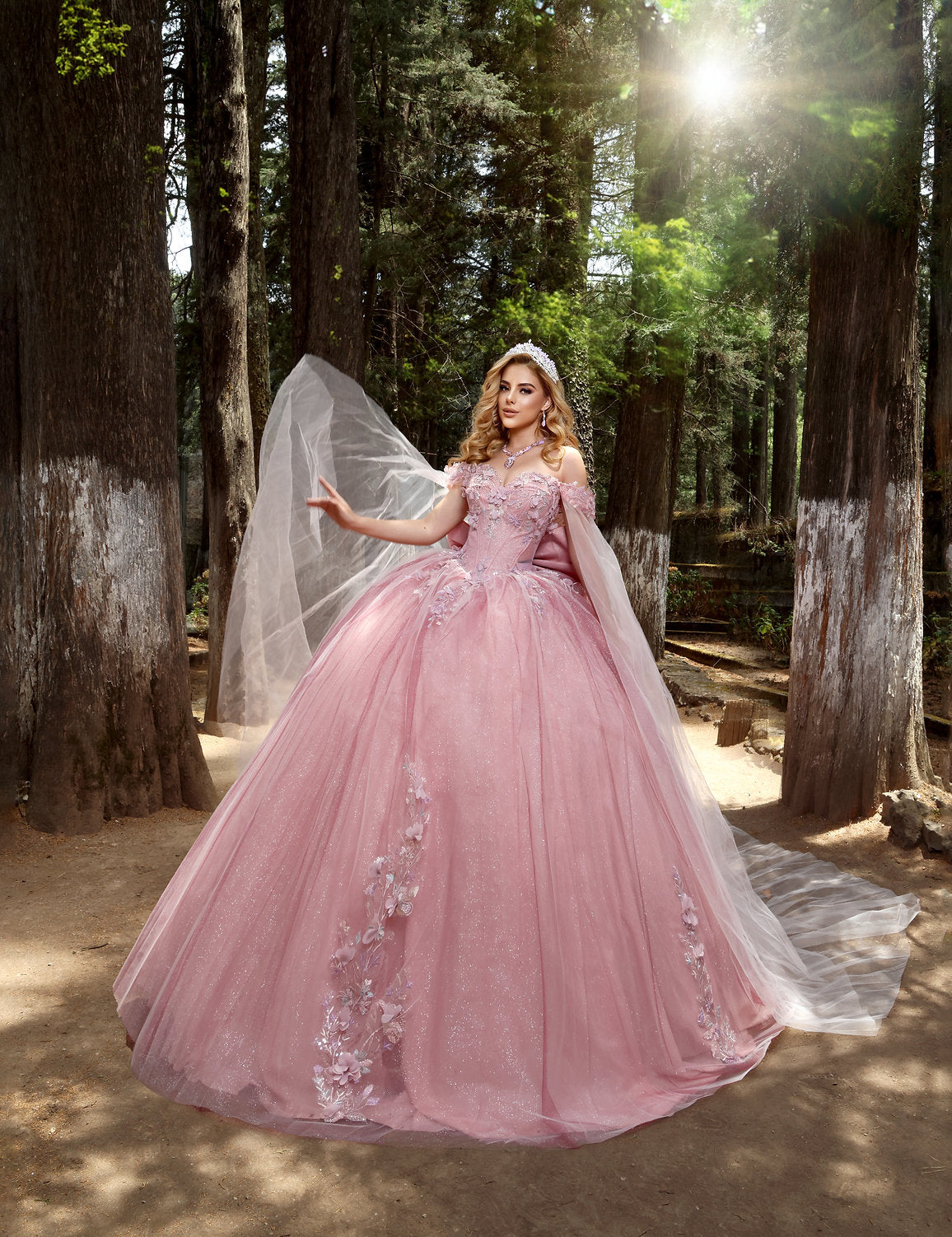 Quinceniera Dresses Sweet 16 Long 3D Glitter Quinceanera Dress Blush/Burgundy
