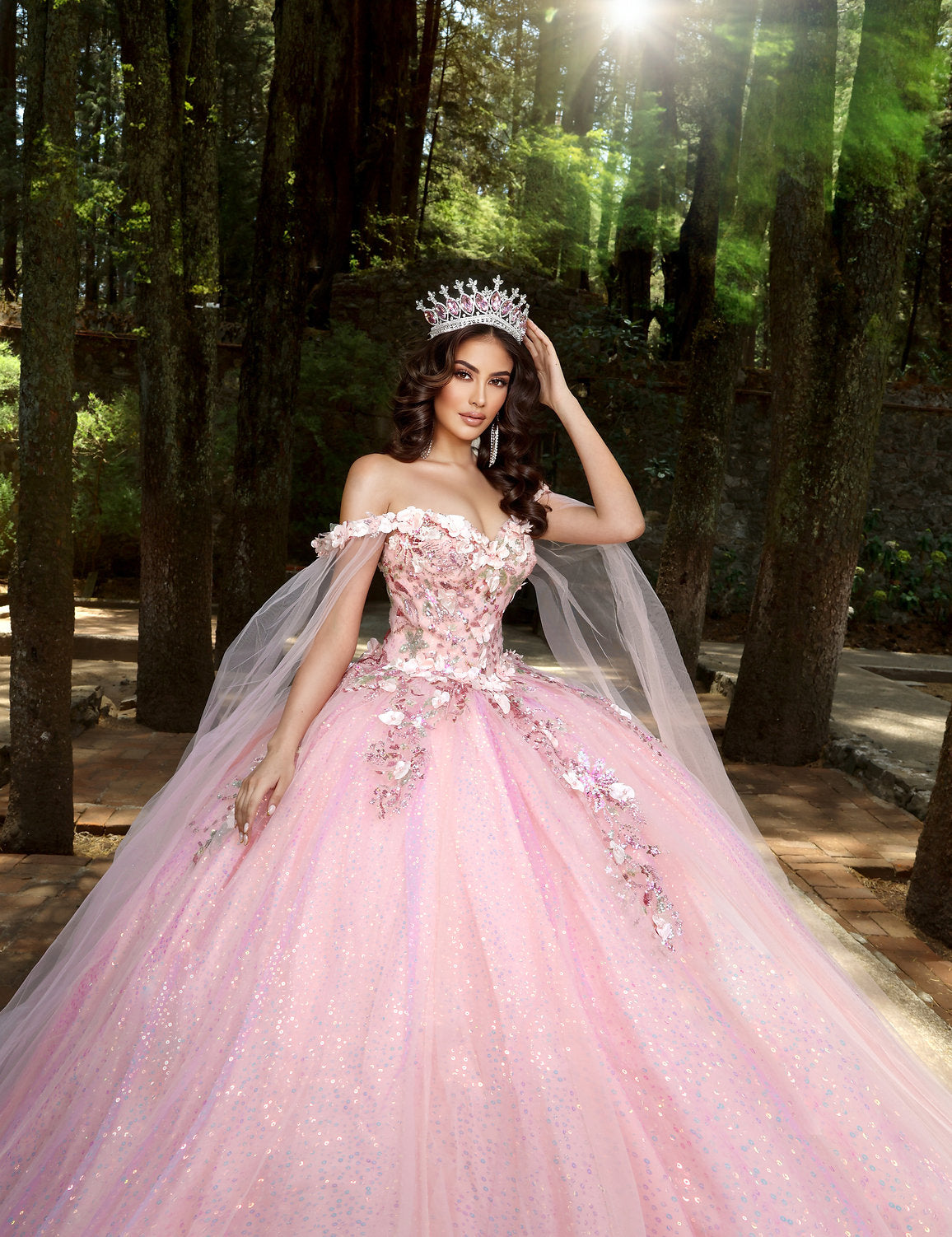 Quinceniera Dresses Long Ball Gown Sweet 16 Quinceanera Dress Blush