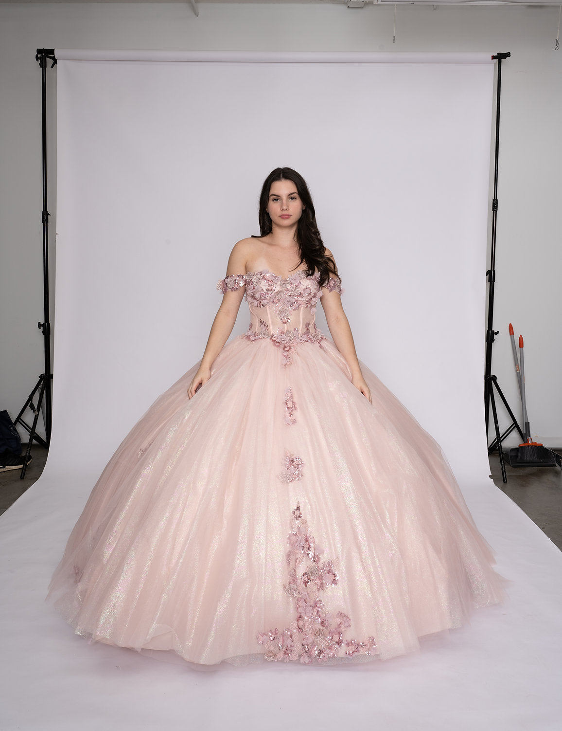 Quinceniera Dresses Long Floral Ball Gown Quinceanera Dress Blush