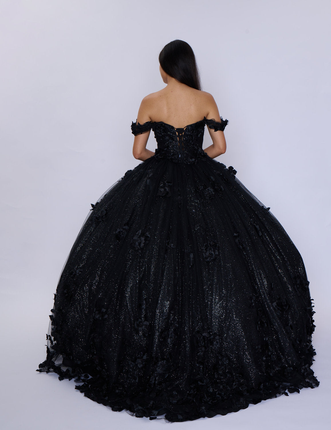 Quinceniera Dresses Glitter Long Ball Gown Quinceanera Dress Black
