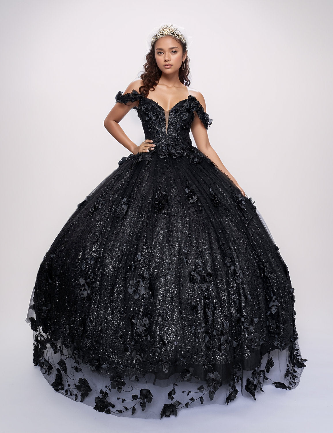 Quinceniera Dresses Glitter Long Ball Gown Quinceanera Dress Black