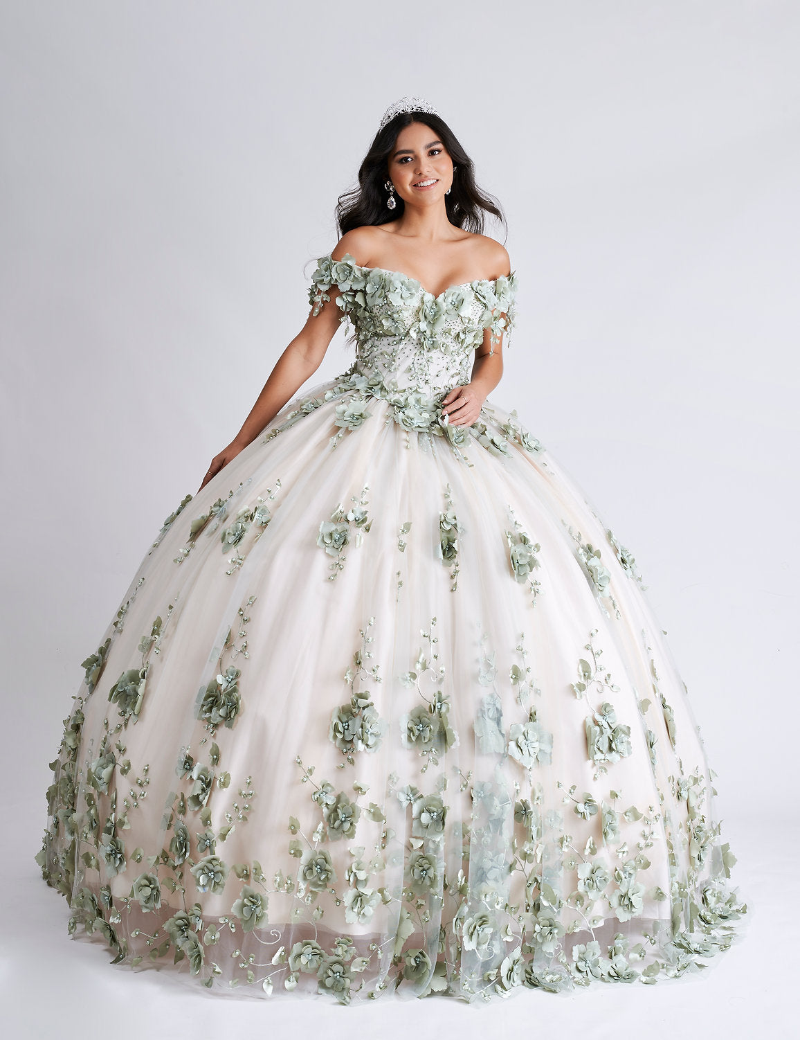 Quinceniera Dresses Sweet 16 Long Ball Gown Quinceanera Dress Sage/Champagne
