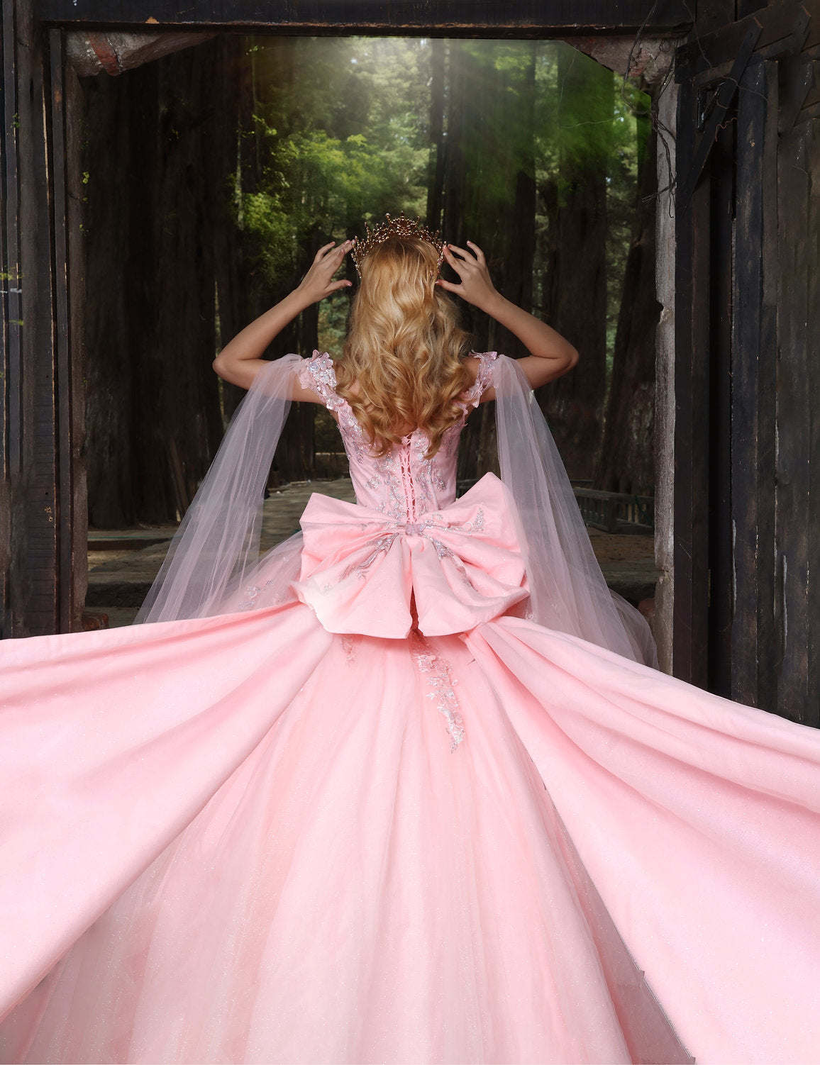 Quinceniera Dresses Long Lace Sweet 16 Quinceanera Dress Pink