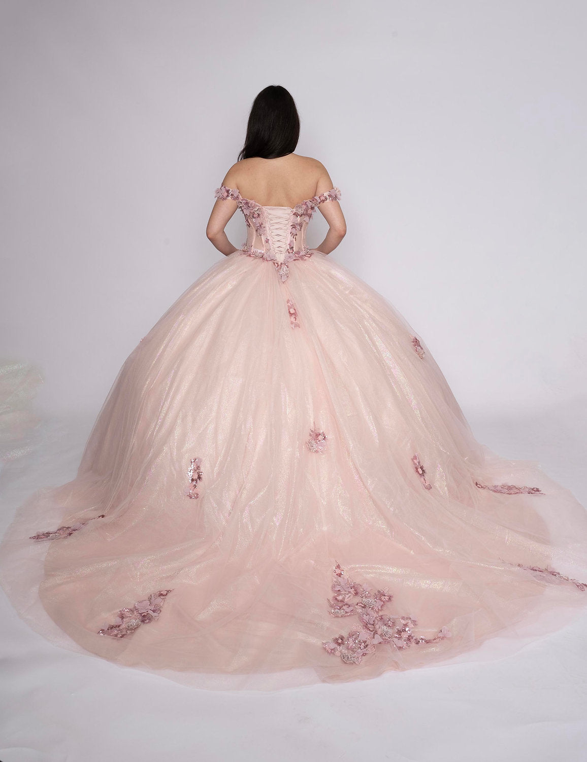 Quinceniera Dresses Long Floral Ball Gown Quinceanera Dress Blush