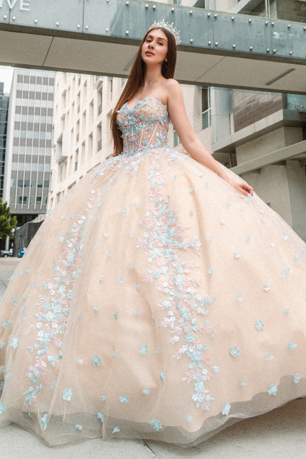 Quinceniera Dresses Long Quinceanera Dress 3D Floral Applique Ball Gown Champagne
