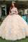 Quinceniera Dresses Long Quinceanera Dress 3D Floral Applique Ball Gown Champagne