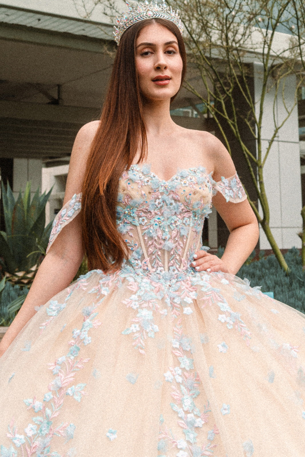 Quinceniera Dresses Long Quinceanera Dress 3D Floral Applique Ball Gown Champagne