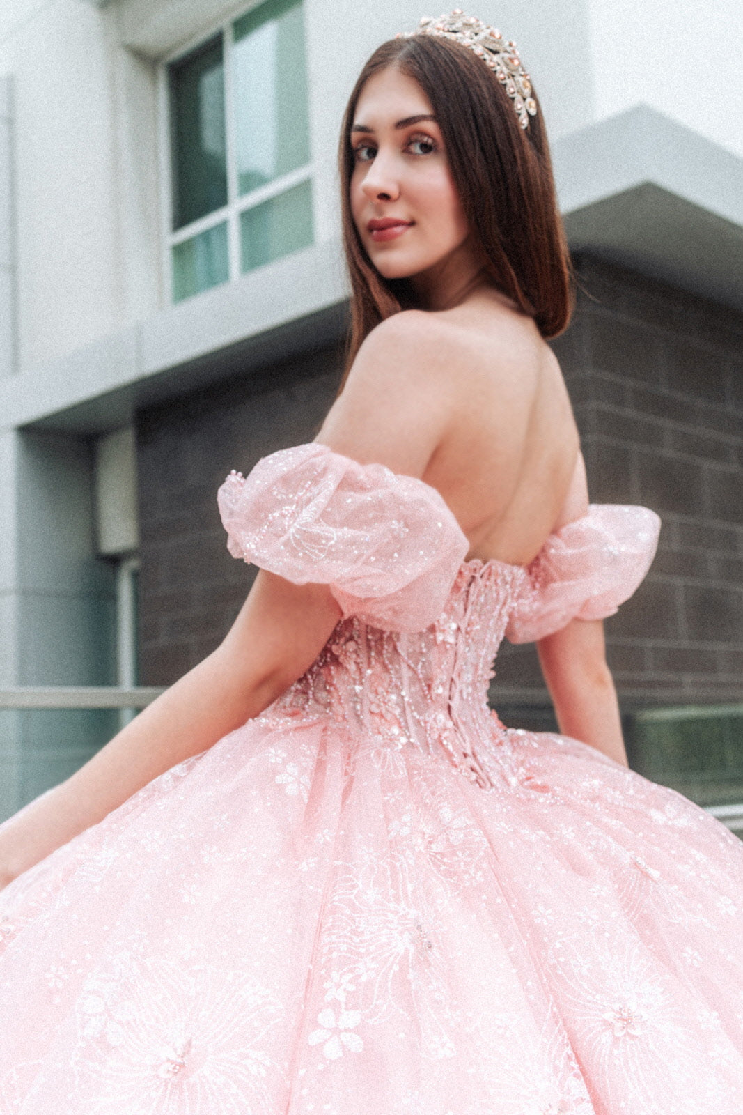 Quinceniera Dresses Long Ball Gown Glitter Print Sweetheart Quinceanera Dress Blush